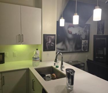 Downtown Las Vegas Autre | Elvis pad