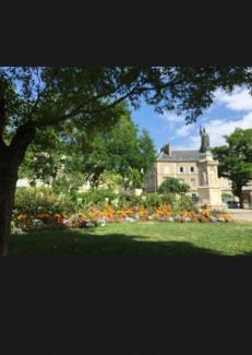 Old Town Appartement | Elysée Darcy - Devosge hyper centre ,Liberté Gare - ville