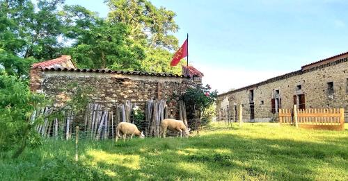 Calmont Maison | En Pascot - gîte pour 6 pers - 3 épis et 3 étoiles - 10 mn de Villefranche et Nailloux