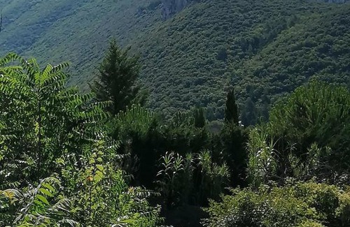 Mollans-sur-Ouveze Appartement | En Provence à MOLLANS