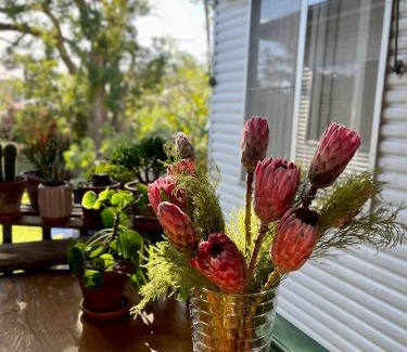 Marsfield Maison | En-suite Guest Room Ryde/Macquarie Park/Eastwood
