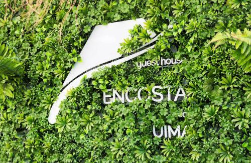 Caldas de Sao Jorge Appartement | Encosta do Uíma - Guest House