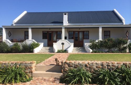 Bot River Maison | Endless Vineyards at Wildekrans Wine Estate