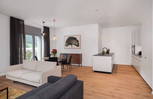 Engelberg Appartement | Engelberg Two Bedroom Apartment With Mountain View