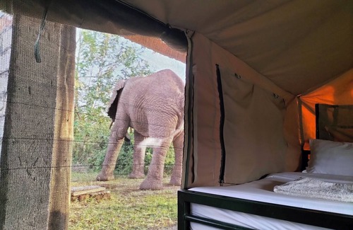 Kasese Cabine | Budget Game Lodge dans le parc national Queen Elizabeth, en Ouganda
