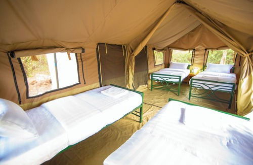 Kasese Cabine | Budget Game Lodge dans le parc national Queen Elizabeth, en Ouganda