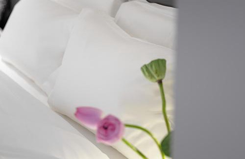 Beilin Hôtel | Enji M Hotel-Xi’an datangbuyecheng