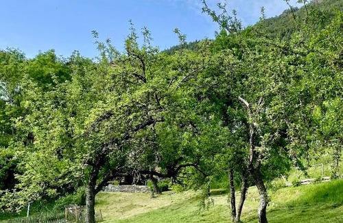La Garde Maison | EnJOiE AdH