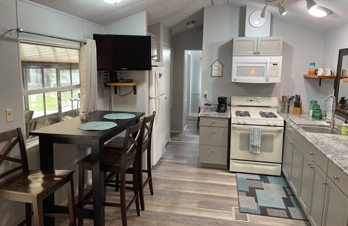 Salt Springs Cabine | Enjoy a view of Little Lake Kerr while sipping your coffee!