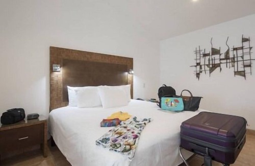 San Jose Hôtel | Enjoy Bird-Watching at Parque España! Spacious Unit, Pet-friendly & FREE Parking