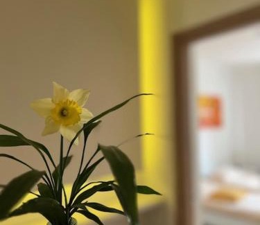 Millefonti Appartement | Enjoy Lingotto - FIERE- METROPOLITANA- OSPEDALI CTO-REGINA MARG,MUSEO