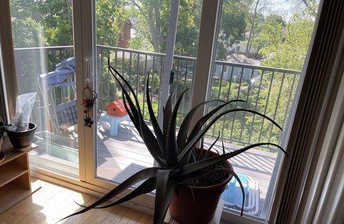 Salem Appartement | Enjoy New England.. Historical places and water activities