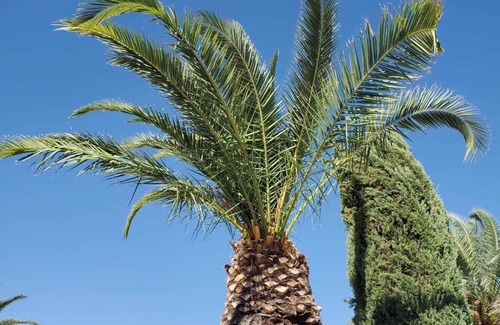 Tucson Estates Maison | Enjoy the simple comforts of 55-plus living in the sunny Southwest!