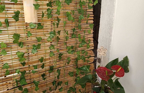 Rovereto Appartement | Entire apartment for rent for vacation or business in the historic center
