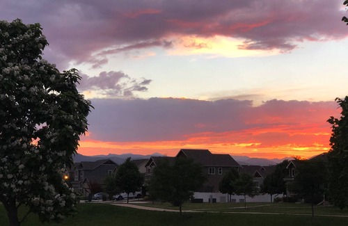 Berthoud Maison | Entire Ranch Home Pet Friendly and Close to Downtown