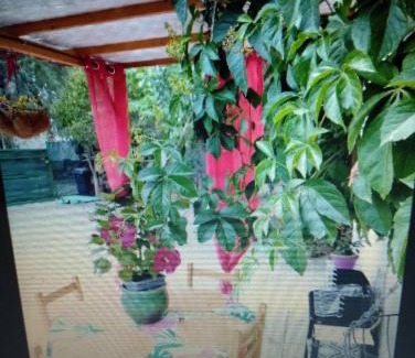 Boisseron Appartement | Entre mer et cevennes