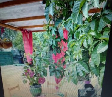 Boisseron Appartement | Entre mer et cevennes