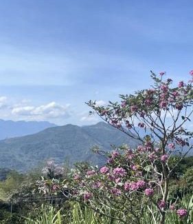 Nocaima Maison | Entre Nubes