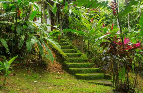 Picinguaba Maison | Entre o Mar e a Floresta Casa das Pedras