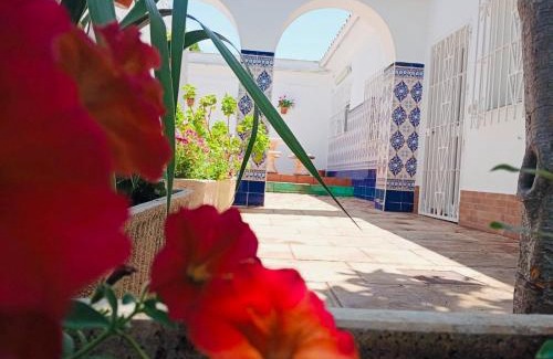 Los Gallos-Cerromolino Appartement | Entre Pinos