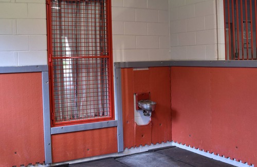 Reddick Appartement | Equine Friendly- Studio Apartment & 6 Stalls