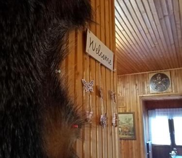 Haromhuta Maison | Erdei Szalonka Vendégház