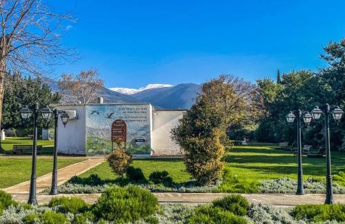 Dafna Hôtel | Erettz Dafna Travel Hotel
