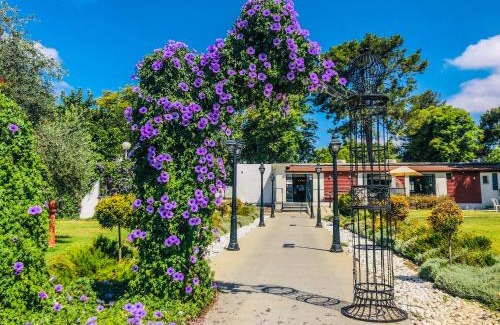 Dafna Hôtel | Erettz Dafna Travel Hotel