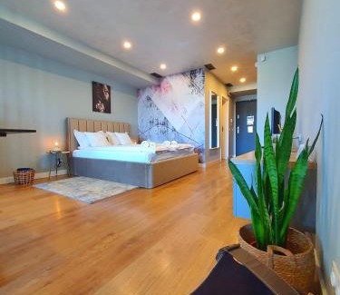 Cluj County Appartement | Eriss Studio Suite - OZone building apartment