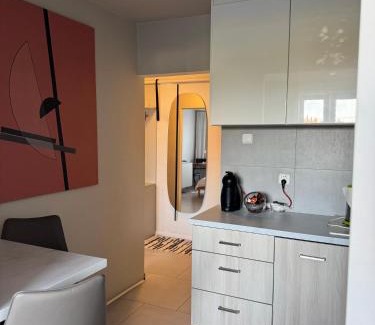 Staszow Appartement | es studio