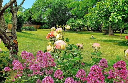 Preguillac Appartement | Escale cosy et bucolique à proximité de Saintes
