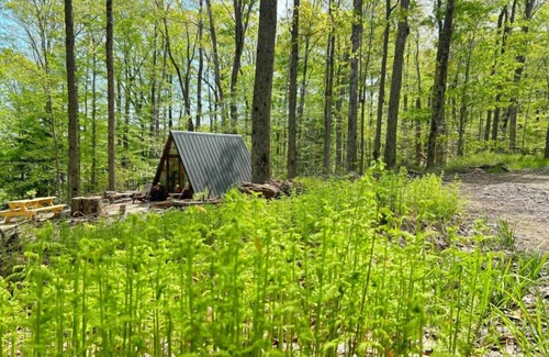 Sidney Cabine | Escapology - Delightful 1 bedroom A-frame cabin
