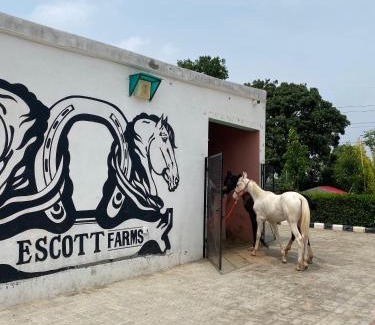 Sirhind Maison | Escott Farms