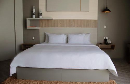 Pachuca Hôtel | ESDUMA HK HOTEL Pachuca