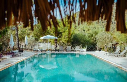 Olympos Hôtel | Eski Yeni Tatil Evi Olympos