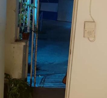 Merida Maison | Espacio Jardines