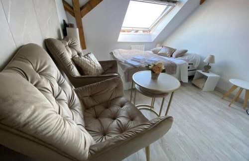 Mulhouse Appartement | Esprit Beige - Joli Studio Salengro - Sauna & Sport club