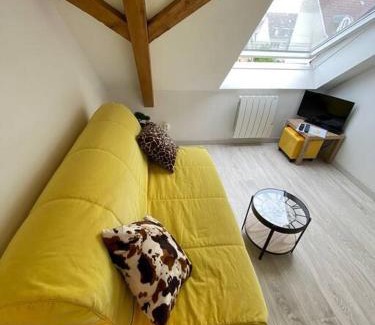 Mulhouse Appartement | Esprit Jaune - Cosy studio Salengro - Sauna & Sport club