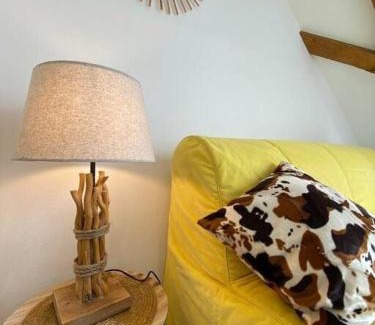 Mulhouse Appartement | Esprit Jaune - Cosy studio Salengro - Sauna & Sport club