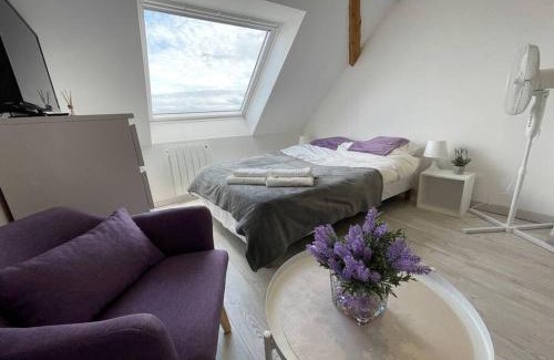 Mulhouse Appartement | Esprit Violet - Joli Studio Salengro - Sauna & Sport club