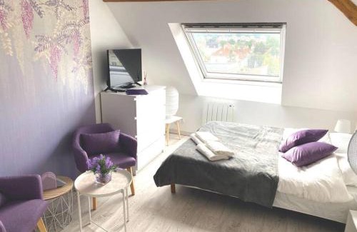 Mulhouse Appartement | Esprit Violet - Joli Studio Salengro - Sauna & Sport club