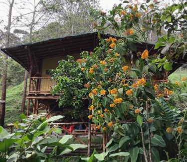 San Rafael Lit Et Petit-Déjeuner | ESTACION PARAISO DE DANTAS