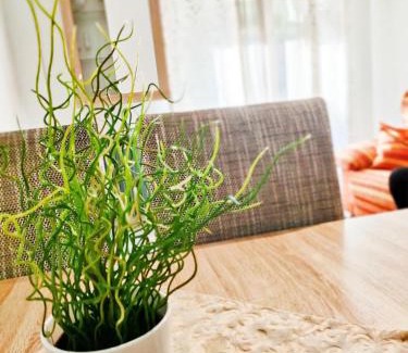 Tarancon Appartement | Estrella Polar