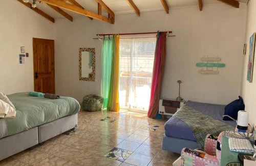 Vicuna Maison | Estudio Los Mosaicos