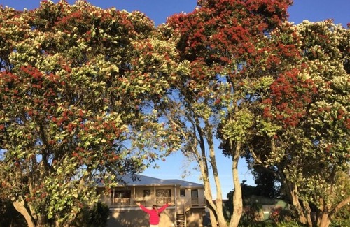 Pukehina Copropriété | EUNOIA surplombant l'estuaire - Pukehina Beach