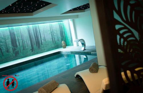 Haguenau Hôtel | Europe Haguenau – Hotel & Spa