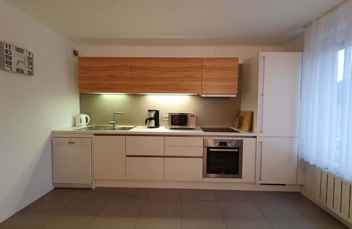 Bezigrad District Appartement | Eva Tour As / Appartement 2BR moderne dans le centre, garage gratuit, WiFi & AC