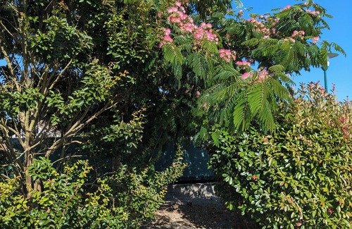 Angles Maison | Les Myle Roze d'Evann