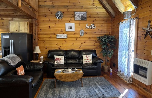 Carbon Hill Cabine | Evergreen Hideaway est une cabane nichée sous de grands pins.