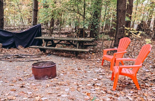 Carbon Hill Cabine | Evergreen Hideaway est une cabane nichée sous de grands pins.